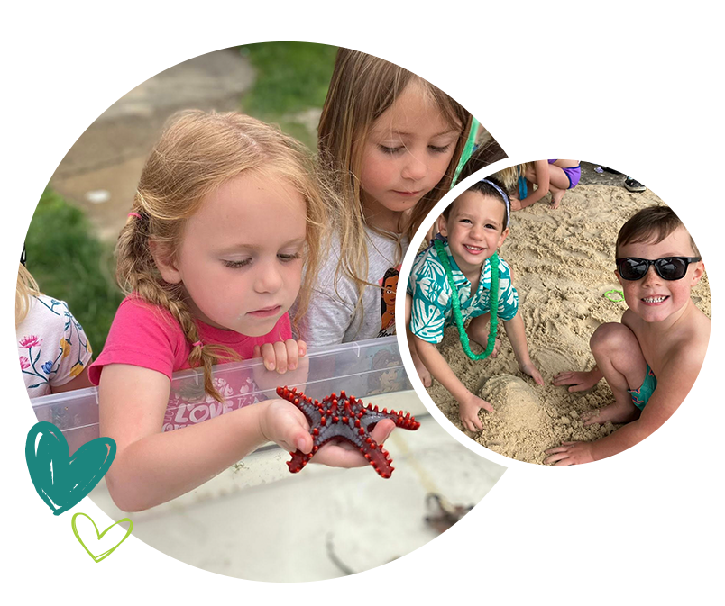 Split image showing girl examining starfish during nature lesson and two children playing in sand, enjoying hands-on learning experiences